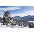 Rocky Mountain National Park Tour - Winter In The Park - Estes Park Guided Tours