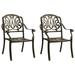 Dcenta 2 Piece Garden Chairs Cast Aluminum Armchair Metal Outdoor Dining Chair Bronze Patio Balcony Backyard Outdoor Furniture 24.8 x 27.2 x 35.8 Inches (W x D x H)