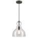 Westinghouse 612992 - 1 Lamp Black/Bronze Clear Seeded Glass Indoor Pendant Light Fixture (Fiona Pendant, Black-Bronze Finish with Highlights (6129900))