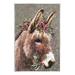 Stupell Industries Winter Donkey Snow Falling by Pip Wilson Painting in Brown/Gray | 15 H x 10 W x 0.5 D in | Wayfair aw-060_wd_10x15