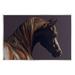 Stupell Industries Dark Horse Animal Portrait Wall Plaque Art By Kim Mcelroy-au-965 in Black/Brown | 10 H x 15 W x 0.5 D in | Wayfair