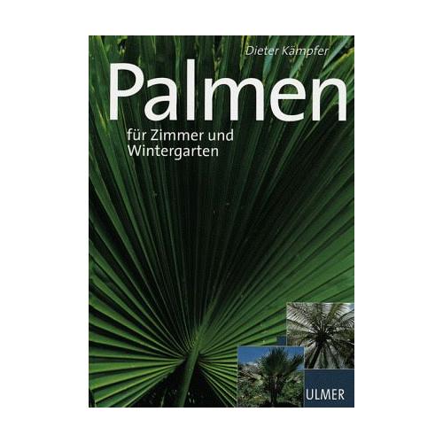 Palmen - Dieter Kämpfer