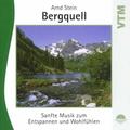 Bergquell-Sanfte Musik Z.Entspannen (CD, 2000) - Arnd Stein