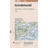 1229 Grindelwald