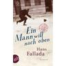 Ein Mann will nach oben - Hans Fallada