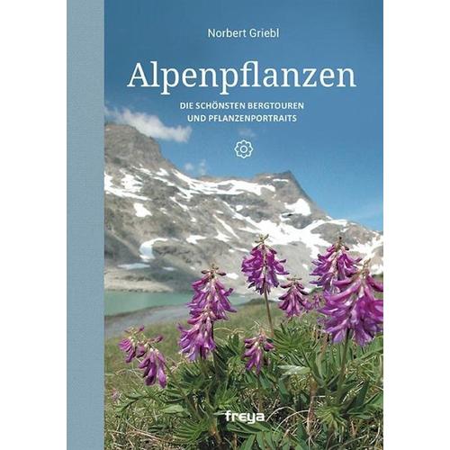Alpenpflanzen - Norbert Griebl