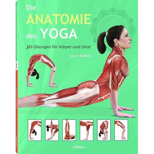 Die Anatomie des Yoga - Sally Parkes