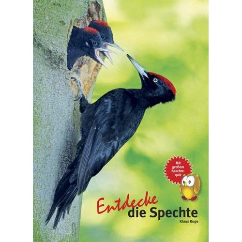 Entdecke den Specht – Klaus Ruge