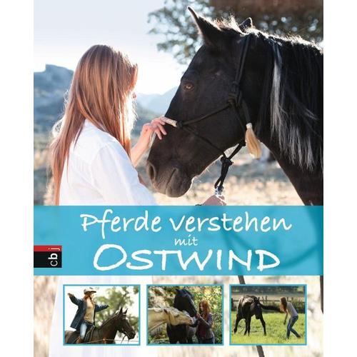 Pferde verstehen mit Ostwind / Ostwind Sachbücher Bd.1 - Almut Schmidt
