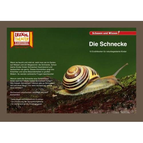 Kamishibai: Die Schnecke