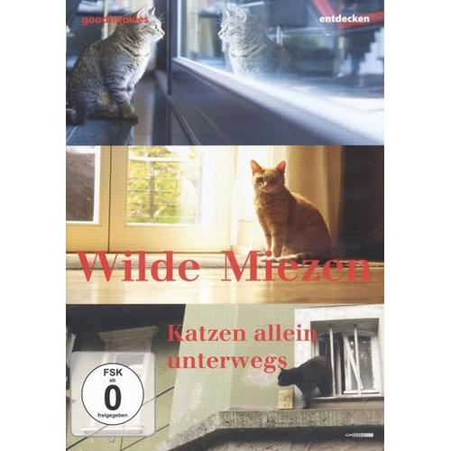 Wilde Miezen - Katzen allein unterwegs (DVD) - 375 Media