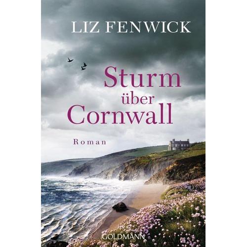 Sturm über Cornwall - Liz Fenwick