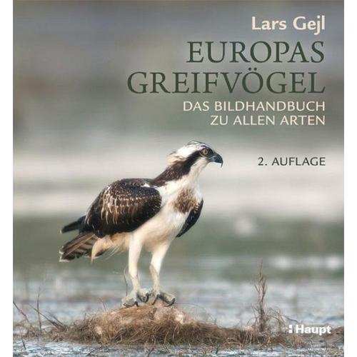 Europas Greifvögel - Lars Gejl