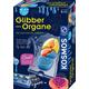 Fun Science Glibber-Organe (Experimentierkasten) - Kosmos Spiele