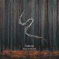 Through Shaded Woods (CD, 2020) - Lunatic Soul
