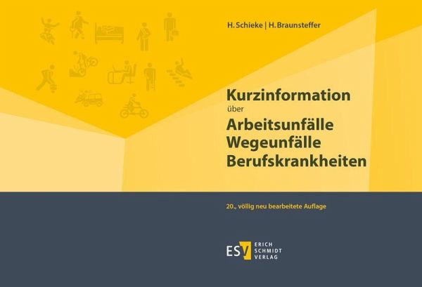 Kurzinformation über Arbeitsunfälle Wegeunfälle Berufskrankheiten – Heike Braunsteffer, Heinz Schieke