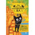 Das verschwundene Amulett / Ein Fall für Katzendetektiv Ra Bd.1 - Amy Greenfield