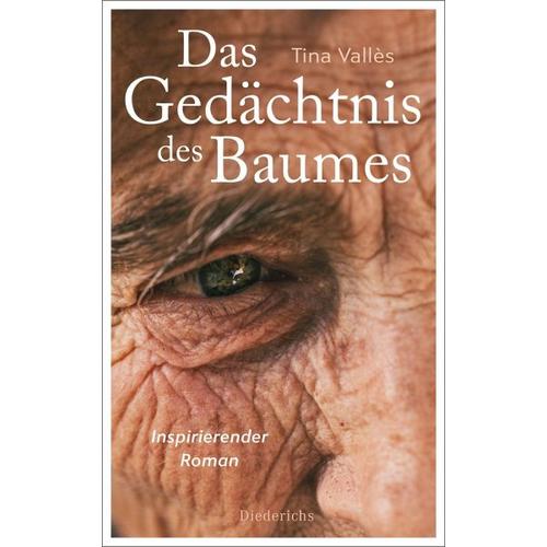 Das Gedächtnis des Baumes – Tina Vallès