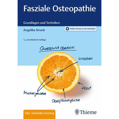 Fasziale Osteopathie – Angelika Strunk