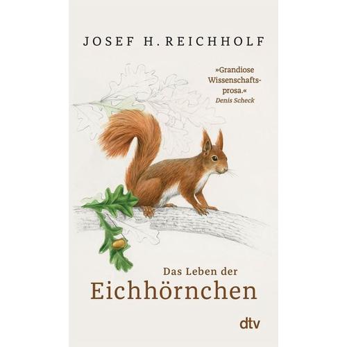 Das Leben der Eichhörnchen - Josef H. Reichholf