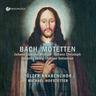 Bach-Motetten (CD, 2023) - Johann Sebastian Bach, Johann Bach, Johann Michael Bach