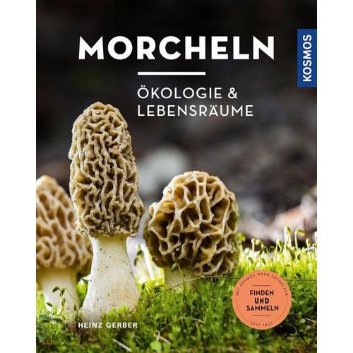 Morcheln – Heinz Gerber