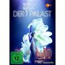 Der Palast (DVD) - Constantin Film