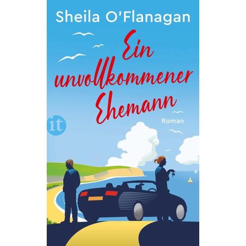 Ein unvollkommener Ehemann – Sheila O’Flanagan