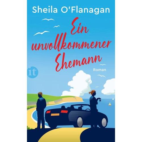 Ein unvollkommener Ehemann – Sheila O’Flanagan