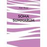 Soma Summarum - Alain Bopp