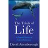The Trials of Life - David Attenborough