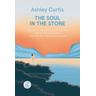 The Soul in the Stone - Ashley Curtis