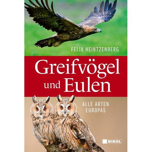 Greifvögel und Eulen - Felix Heintzenberg