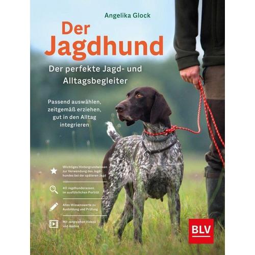 Der Jagdhund als perfekter Jagd- und Alltagsbegleiter – Angelika Glock