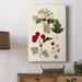 Red Barrel Studio® Leaves & Berries III Premium Gallery Wrapped Canvas - Ready To Hang Canvas, in Gray/Green/Red | 18 H x 12 W x 1 D in | Wayfair
