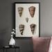 Wexford Home Cone Shell Collection III Premium Framed Print - Ready To Hang Paper, Solid Wood in Black/Brown | 42.5 H x 30.5 W x 1 D in | Wayfair