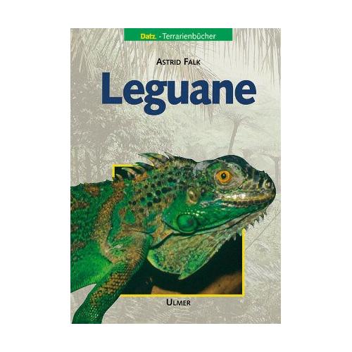 Leguane – Astrid Falk