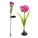 Solar Flower Lights 2 Pcs Purple Gradient Outdoor Solar Garden Lights with Larger & More Realistic Tulip Flower Bigger Solar Panel Waterproof LED Outdoor for Yard Garden Lawn Pathway Decoration