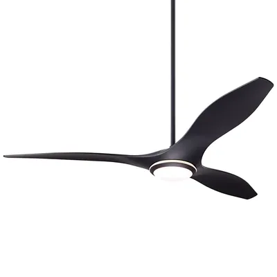Modern Fan Company IC/Brisa DC Ceiling Fan
