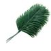 NUOLUX 10 Pcs Sago Cycas Fake Plant Artificial Plant Simulation Leaves Household Office Decorations