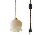 FSLiving Hanging Swag Lamp no Wiring Needed Portable Pendant Light with 15ft Plug-in UL Dimmable Cord Brass Finished E26 Socket Retro White Resin Lamp Hanging Lamp - 1 Light