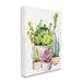Stupell Industries Au-768-Canvas Varied Succulent Garden Plants On Canvas by Ziwei Li Graphic Art Canvas in Green/Indigo/White | Wayfair