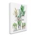 Stupell Industries Au-778-Canvas Mixed Greenery Potted Ivy Plants On Canvas by Ziwei Li Graphic Art in Brown/Green/White | Wayfair au-778_cn_30x40
