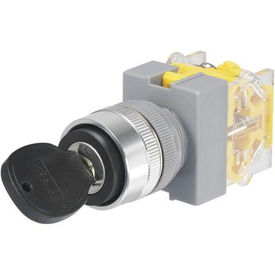 Tru components 704509 Y090-A-20Y/31 Schlüsselschalter 250 v/ac 5 a 1 x Ein/Aus/Ein 2 x 45 ° IP40 1 s Image