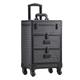 Warmiehomy Beauty Trolley Professional Makeup Case Trolley with 2 Drawers, Lockable Vanity Case Hairdressing Trolley Nail Polish Storage Case, Black