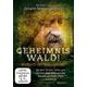 Geheimnis Wald! - Im Reich der Naturgeister, 1 DVD-Video (DVD) - scorpio