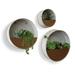 Modern Home Round Living Wall Mounted Galvanized Steel/Zinc Succulent/Herb Planter (Rust Zinc Set of 3)