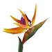 Hadanceo Artificial Flower Bird Of Paradise Fake Plant Silk Strelitzia Reginae Home Decor Orange