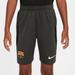 Youth Nike Olive Barcelona 2023/24 Performance Strike Shorts