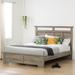 South Shore Versa Bed and Headboard Set